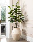Artificial Fiddle Fig Tree UV/IFV in Fleuri Beige Planter